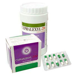 cephalexin adult dosage
