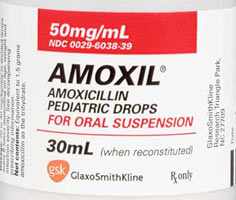 amoxicillin gum
